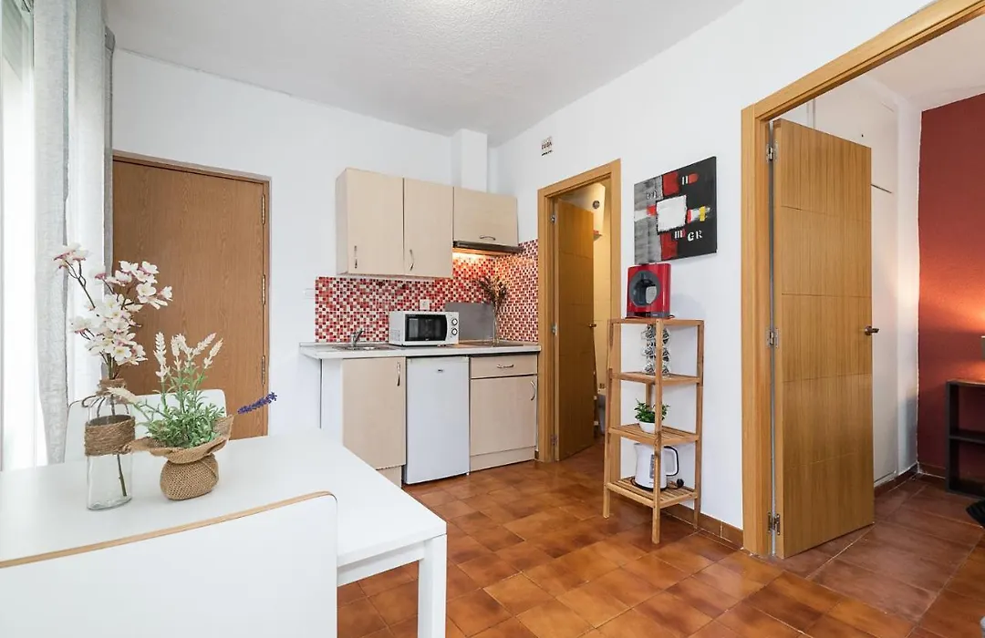 Nice Apartment Catedral Granada-1